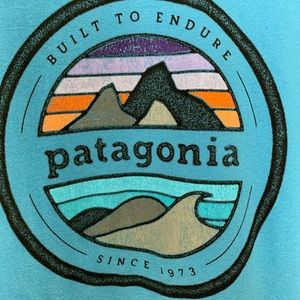 Men’s Patagonia T-shirt